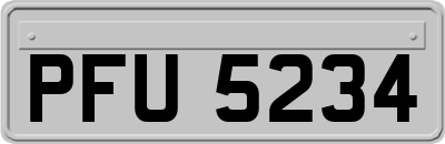 PFU5234