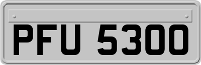 PFU5300