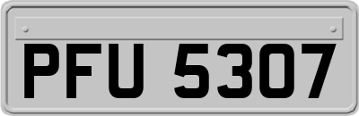 PFU5307