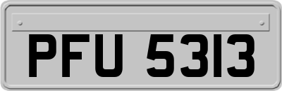 PFU5313