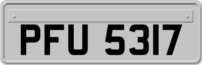 PFU5317