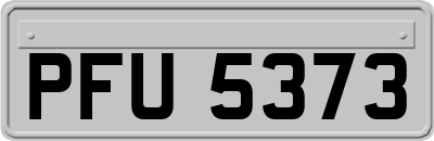 PFU5373