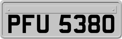 PFU5380
