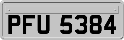 PFU5384