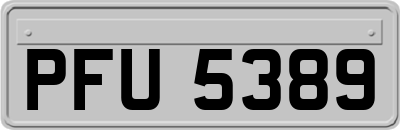 PFU5389
