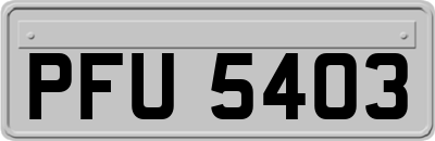 PFU5403