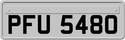 PFU5480