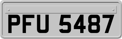 PFU5487