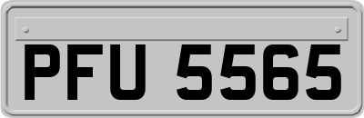 PFU5565