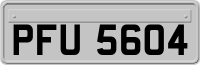 PFU5604