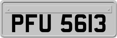 PFU5613
