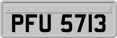PFU5713