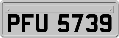PFU5739