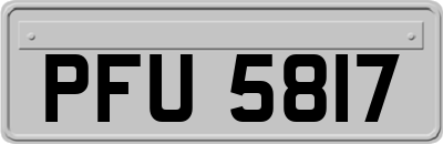 PFU5817