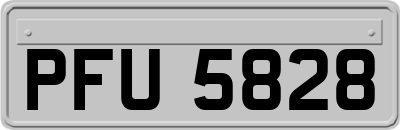 PFU5828