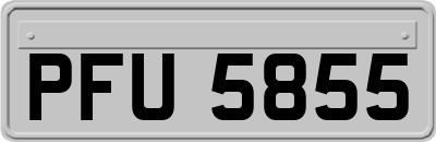 PFU5855
