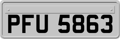 PFU5863