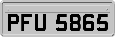 PFU5865