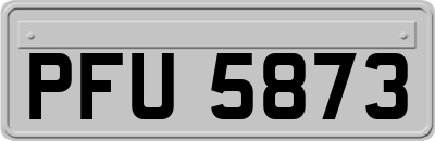 PFU5873