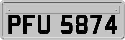 PFU5874