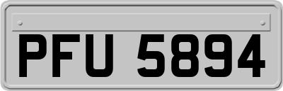 PFU5894