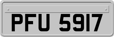 PFU5917
