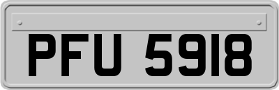 PFU5918