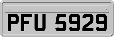PFU5929