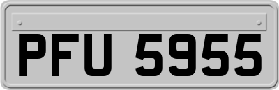 PFU5955