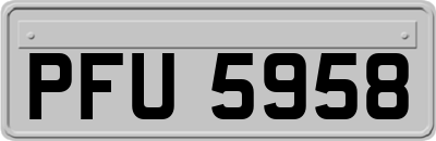PFU5958