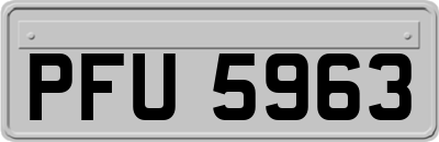 PFU5963