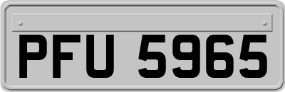 PFU5965