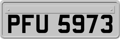 PFU5973