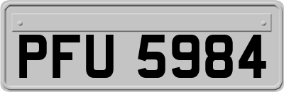 PFU5984