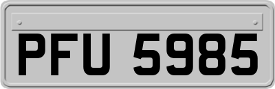PFU5985