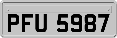PFU5987