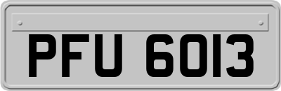 PFU6013