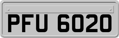 PFU6020