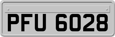 PFU6028