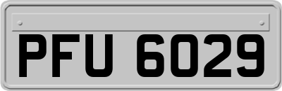 PFU6029