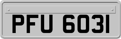 PFU6031