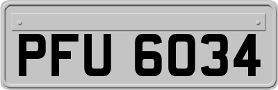 PFU6034
