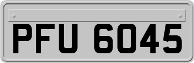 PFU6045
