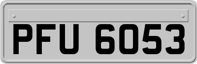 PFU6053