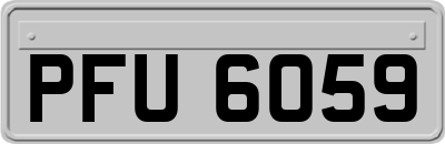 PFU6059