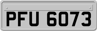 PFU6073
