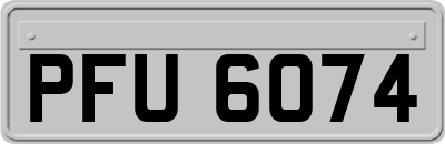 PFU6074