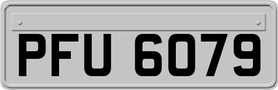 PFU6079