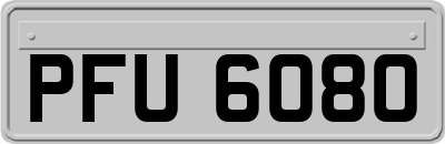 PFU6080