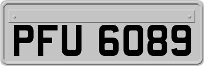 PFU6089